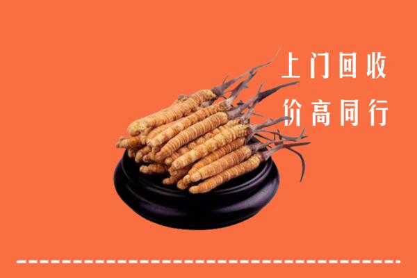 澧市回收冬虫夏草