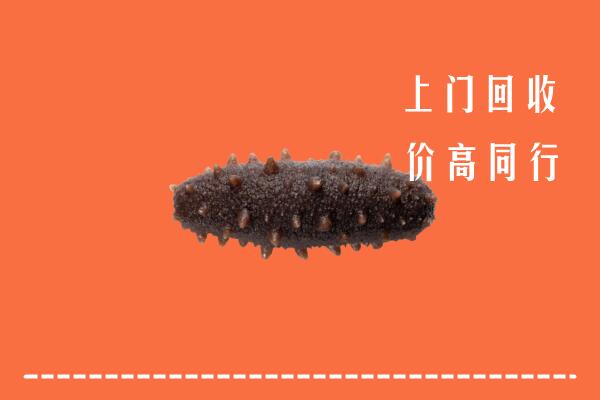 澧市回收海参