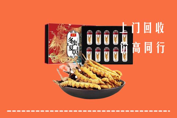澧市回收虫草